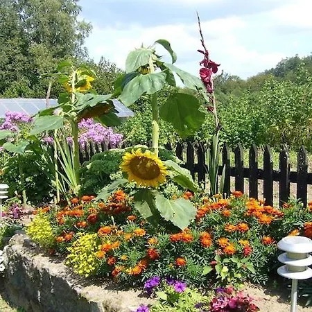 Willa Home, Oasis Of Peace, Polanow, Cleaning Included Polanów